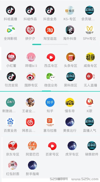 抖音最新版本是几点几和ok支付官方下载,资源整合策略-tool_v4.453