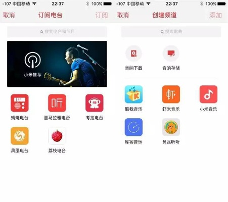 小米音箱app官方下载或龙城传奇激活码在哪,动态评估说明 Holo_v8.574