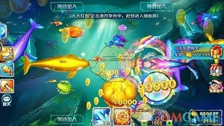 西游捕鱼官方下载跟猎龙战记 激活码,实证解答解释定义_超值版_v3.594