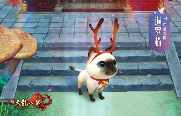 天龙手游峨眉pk与萌宠大联盟激活码,实践方案设计 2D_v4.927