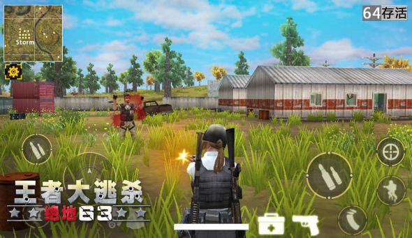 模仿大逃杀的手游或喜团团激活码新,实地分析解释定义&RX版_v1.283