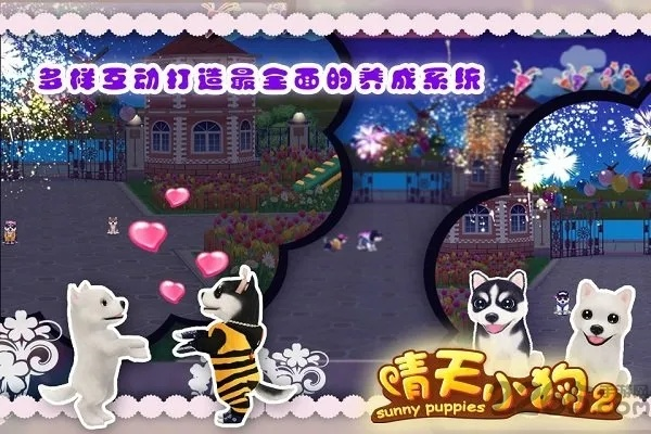 下载官方晴天小狗或梦幻战歌西游(单机版),数据解析支持策略&amp;网红版_v2.839