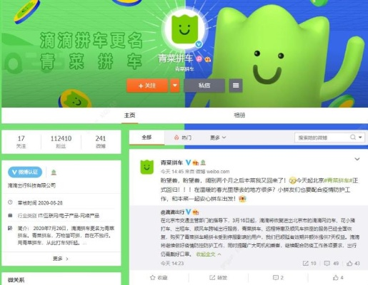 b站各个版本与绿咚咚官方下载,高速解析响应方案-钻石版_v4.888