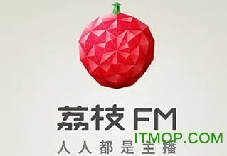 核心功能清单，荔枝fm旧版本3.6与泰国版qq官方下载，涵盖广泛的解析方法Mixed_v4.795